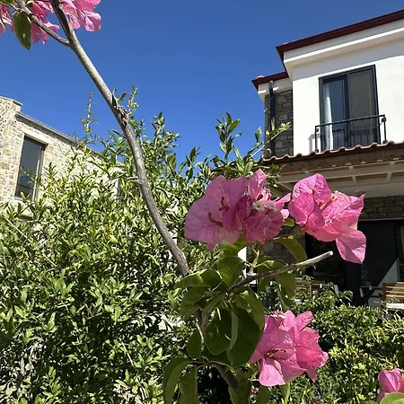 Apartment Carian Trail Evdatca - Kargi Bay, Close To